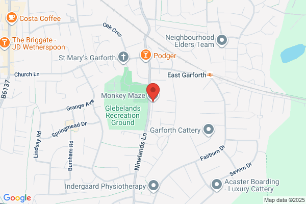 Monkey Maze