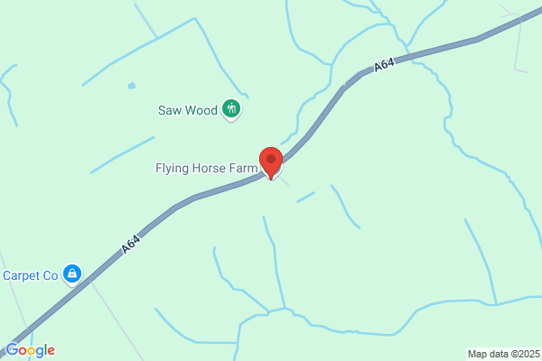 Flying Horse Farm