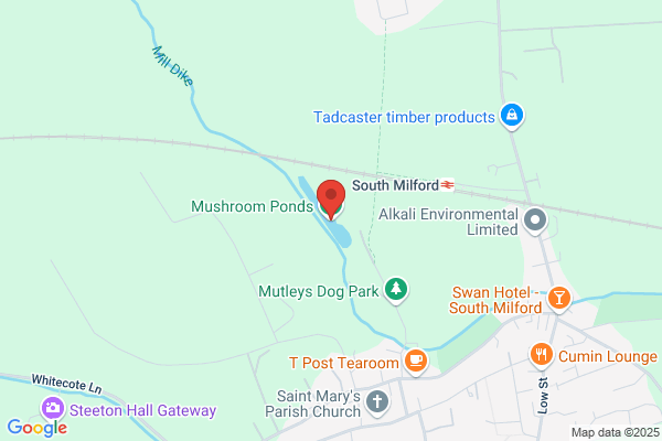 Meadows Fisheries