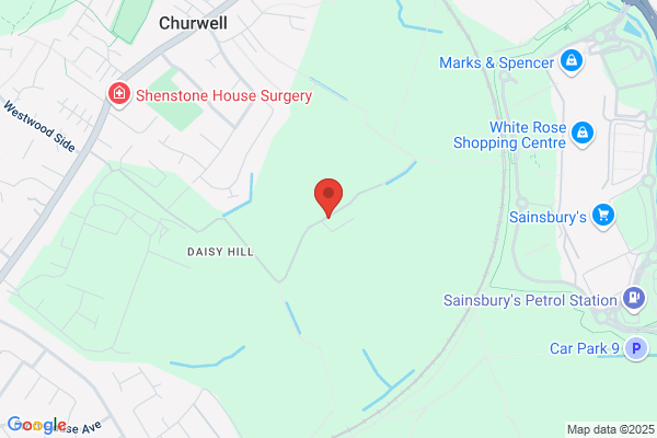 Churwell Art Stone