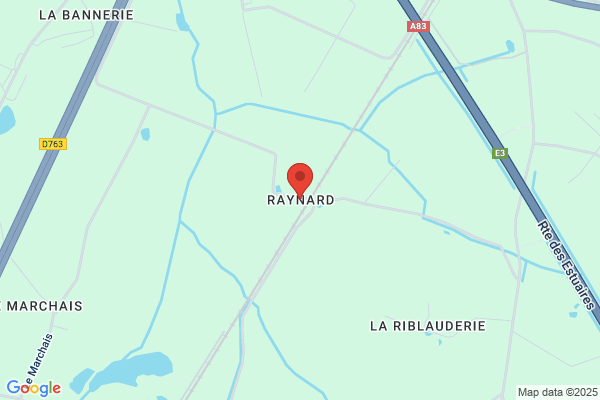 A Raynard