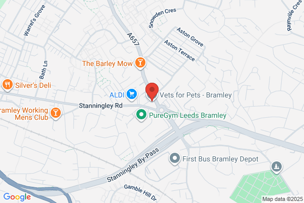 Vets4Pets - Bramley