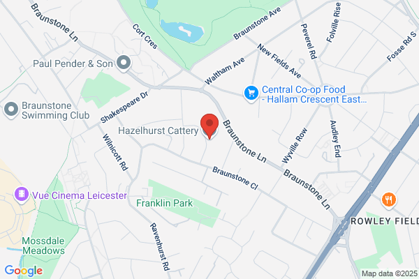 Hazelhurst Cattery