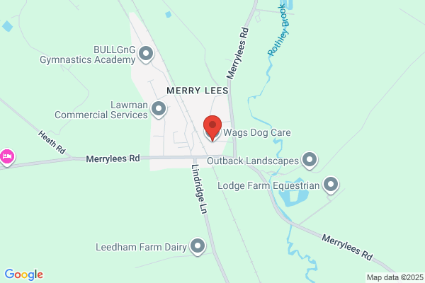Wags Dog Care Ltd