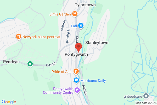 Tylorstown Clinic