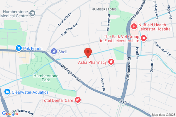 Drive Buddi - Leicester Driving Lessons