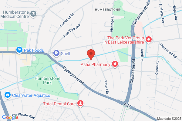 Drive Buddi - Leicester Driving Lessons