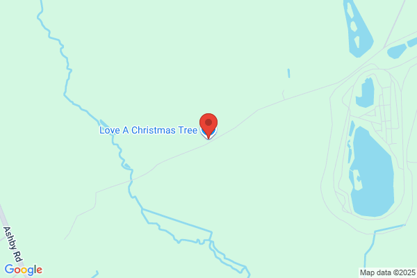 The Christmas Co