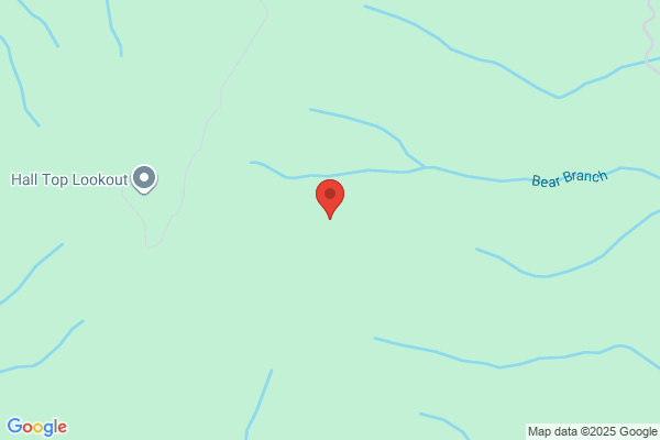 Lynnes Patch