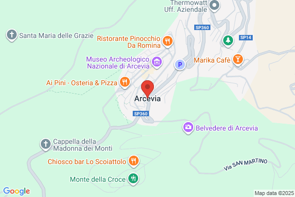 Arcevia Services