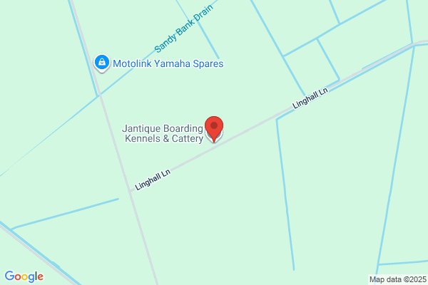 Jantique Cattery & Kennels