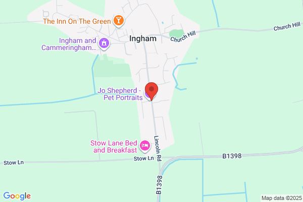 Ingham Practice