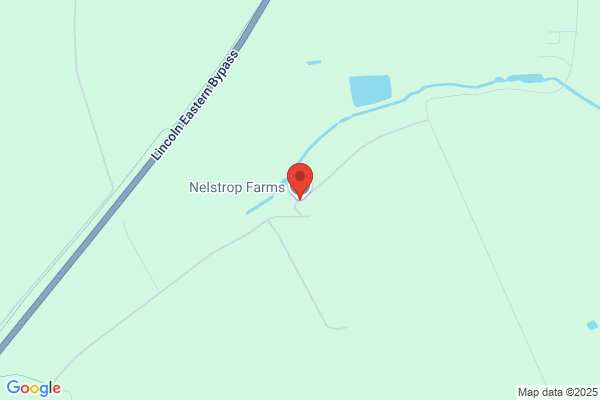 Fletcher Nelstrop Farms Ltd