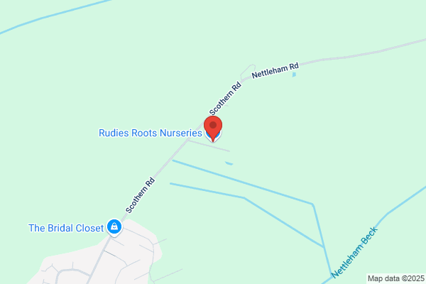 Rudies Roots Nurseries