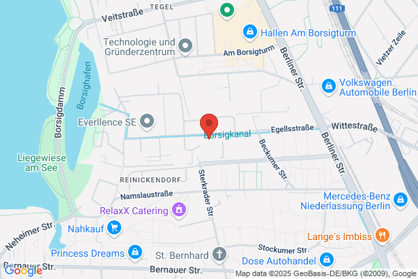 Borsig Valvecare