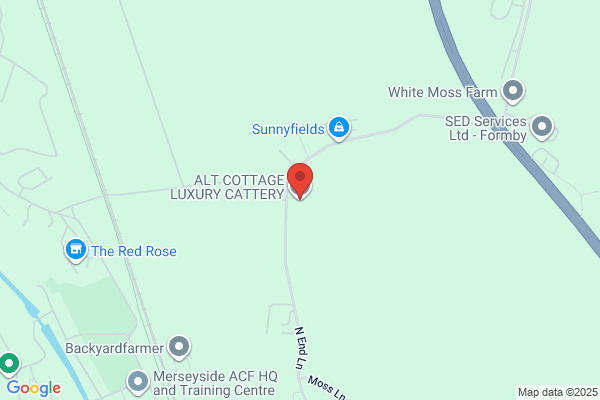 Alt Cottage Cattery