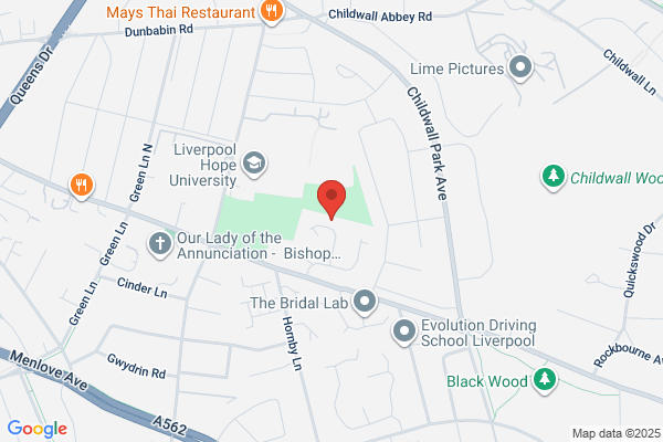 Taylor Security Systems