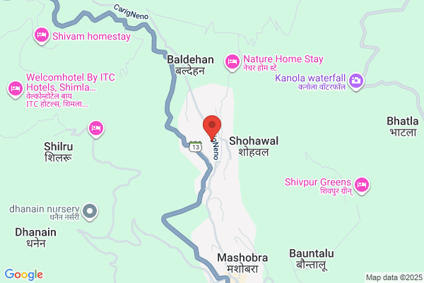 The Wizard Den