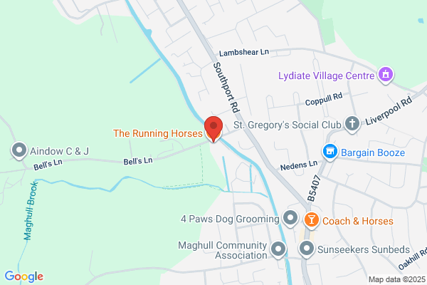 Running Horses