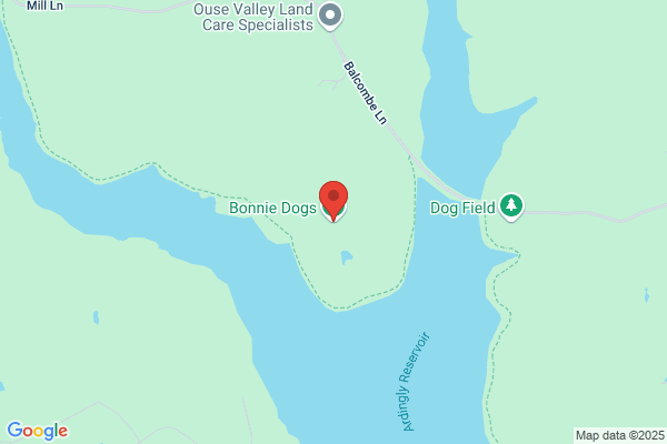 Bonnies
