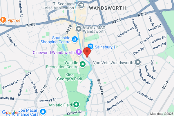 Community Health NHS Trust (Wandsworth)