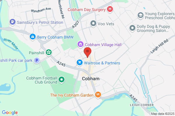 Domino's Pizza - London - Cobham