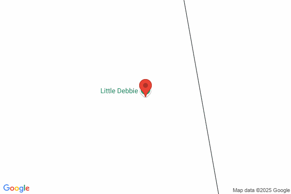 Debbi Little