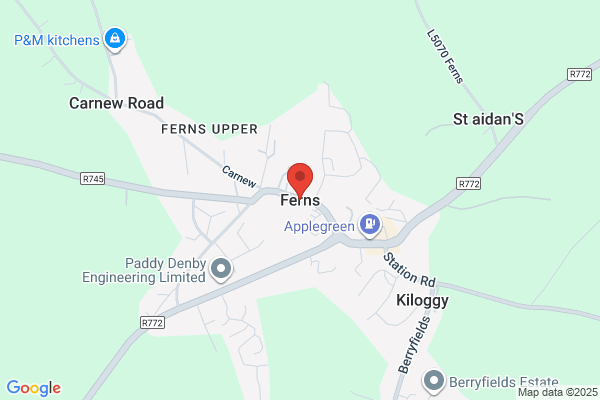 Ferns