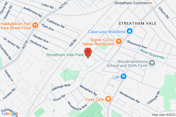 Streatham Vale Play Project