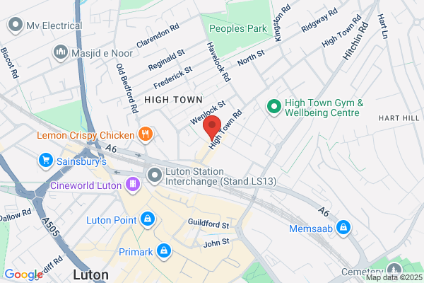 Disco Duck