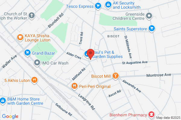 Ideal Food Stores