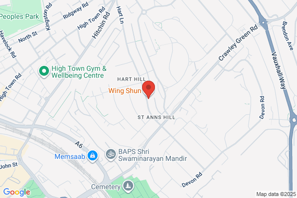 Wing Shun