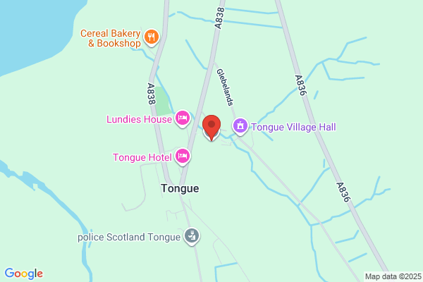 Tongue Primary School
