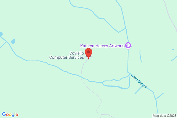Coviello Computer Services