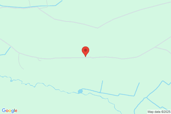 G Davies