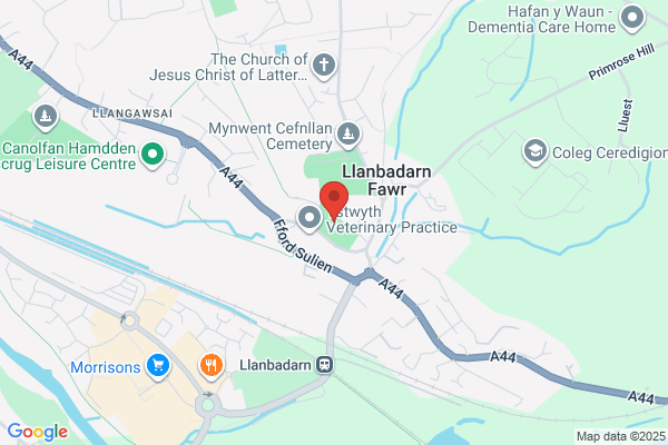 St Padarn At Llanbadarnodwyn