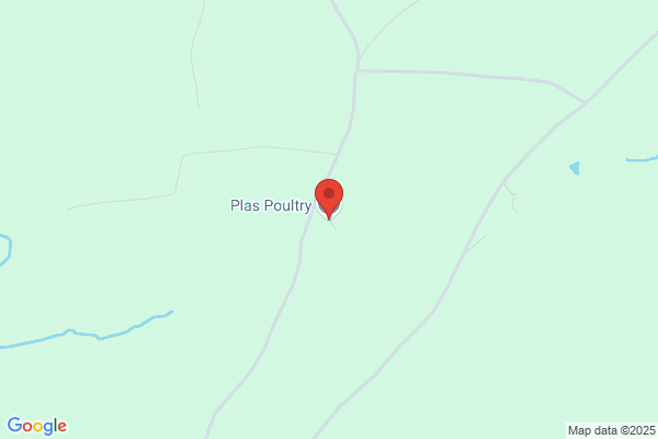 Pluest Farm Poultry