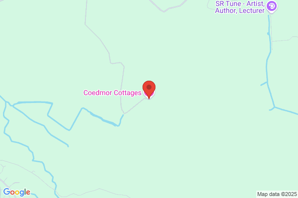 Coedmor C P School