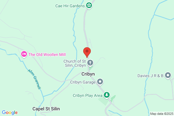 Cribyn County Primary School
