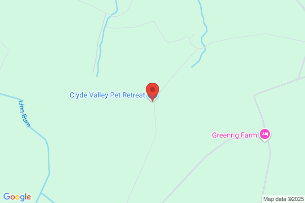 Clyde Valley Groomers