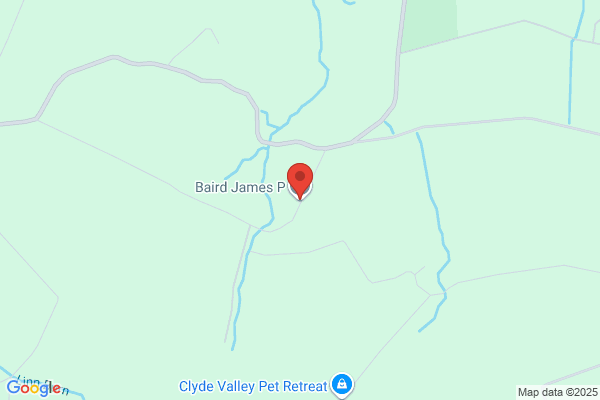 James P Baird