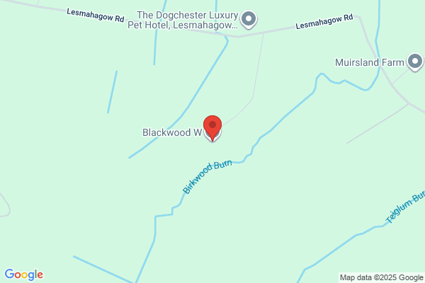 W Blackwood