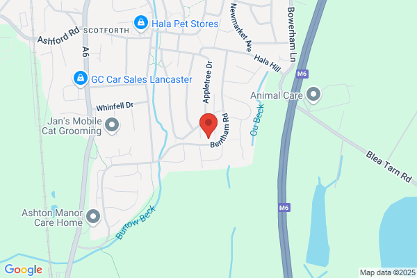 Gasline Plumbing & Heating Ltd