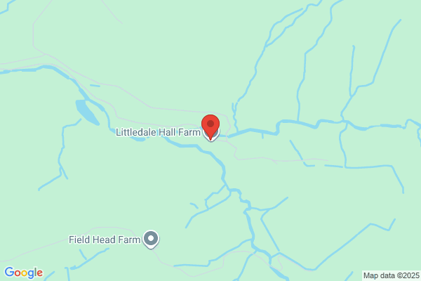 Bleasdale