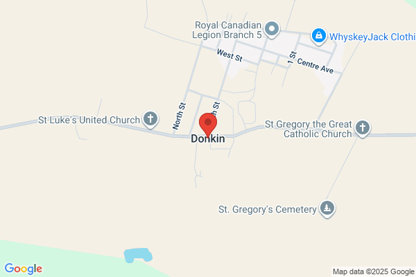 Donkin