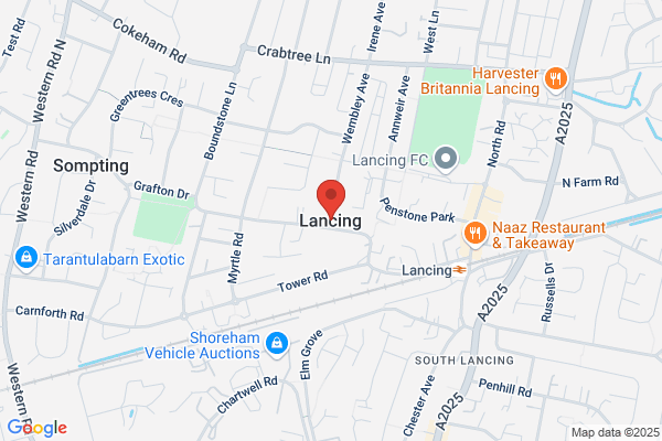 Shannon's Ltd