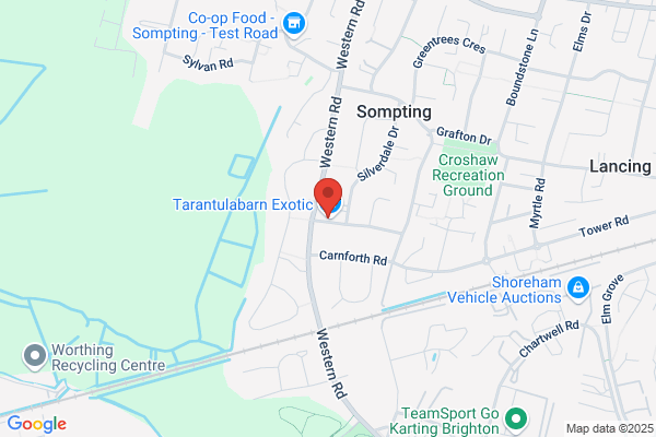 Sompting News