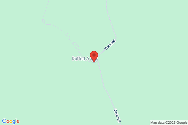 A Duffett