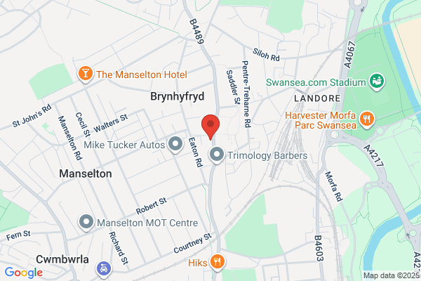 Campbells Veterinary Surgery - Brynhyfryd