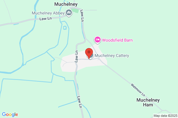 Elmfield Cattery